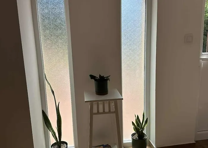 Tariczky Vendeghaz Tiszafüred